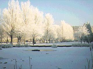 Queen's Gardens