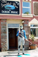 spearfishing & Guiness