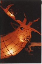 Stag from Corrie Capers