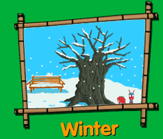 Winter deciduous tree