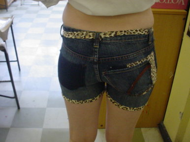 Leopards in the jungle