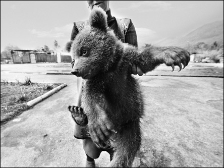 Фото tanyagodard 