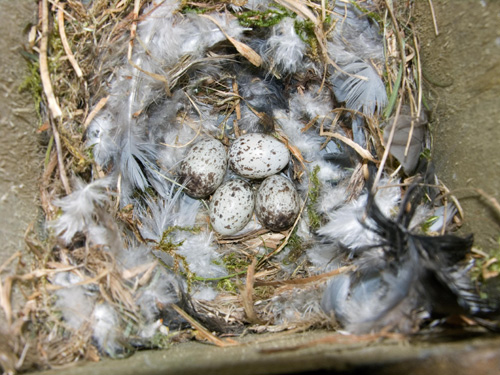 Untidy © Richard Castell