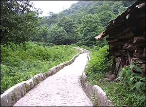 حسام آرماندهی