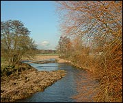 The River Otter at Tipton St John