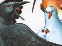 کوتره او کارغه