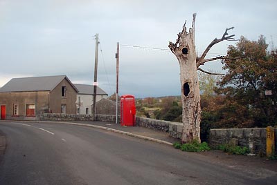 The 'Haunted' tree in the village of Finnis, Co.Down