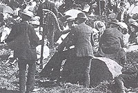 Garddwest ger Llyn Geirionnydd