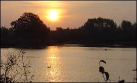 Sunrise at Dinton Pastures