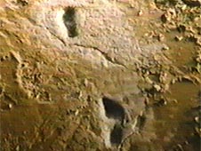 8,500-year-old footprints 