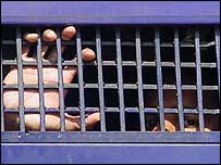 قیدی: فائل فوٹو