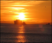 MSC Napoli (Pic: Alec Collyer)