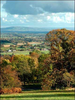 Malvern Common and distant hills
