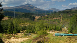 Colour view showing a broken-down stone wall and a series of flat, green panels in an area of mixed scrub and conifers. A line of electricity pylons crosses the frame, with mountains behind