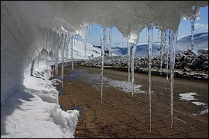 کوروش جاويدی