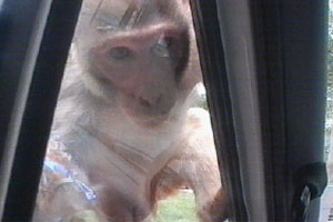 Anwari gets close to some wildlife