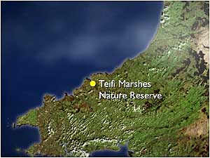Teifi map