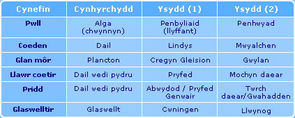Perthnasoedd bwydo