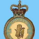 The Official Squadron Crest 136 Fighter Squadron - The Woodpeckers