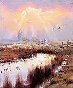 Picture: Late afternoon on Halvergate Marshes