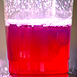 The colourful result of the acid-base lemon juice test