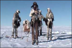 Polar expedition
