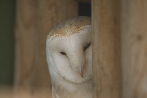 Looking at you, looking at me