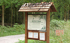 fruit skins to attract butterflies