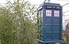 The Garden in Time TARDIS