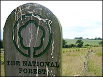 Stage 10 - National Forest Plantation