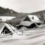 Even the snow adds a special touch to the countryside. A scene taken a few miles from Zwittau.