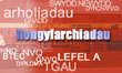 Llongyfarchiadau