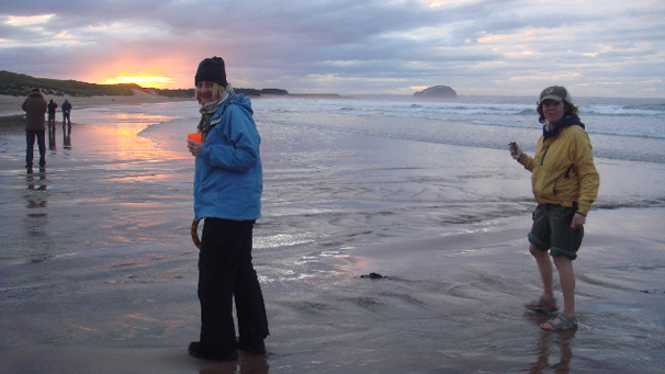 people on beach