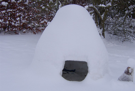 igloo.jpg