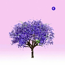 Review of Tomorrow Morning