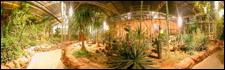 Tropical World