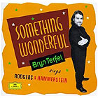 Something Wonderful cover