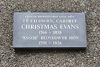 Plac ar gartref Christmas Evans
