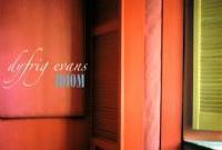 Dyfrig Evans - Idiom