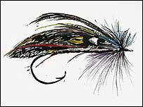 'Cheeky Fly' by Katie Clemson