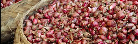 Shallots