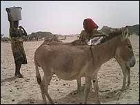 دس لاکھ سے زائد مقامی باشندے بےگھر ہوئے ہیں