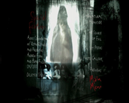 The Amityville Horror DVD