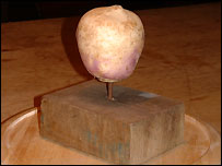 Turnip Prize 2006