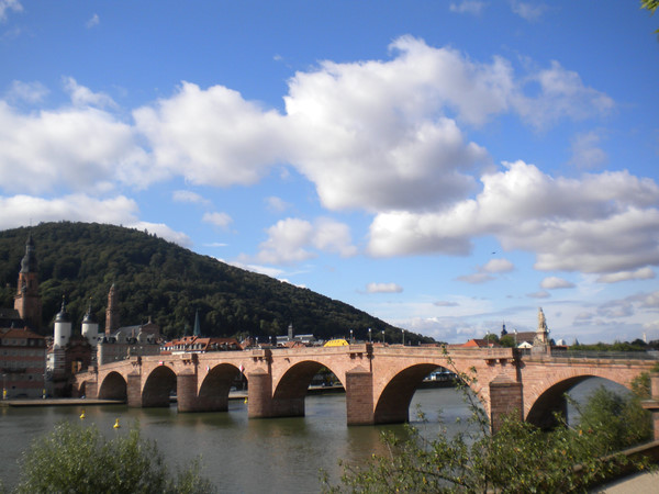 The old bridge of Heidelberg has hundreds of years of history. I used to walk on it every morning to the otherside of Neckar for my language course.