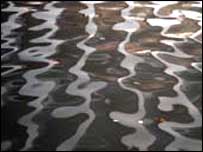 Riverlife photo no 11 by Ian Beesley