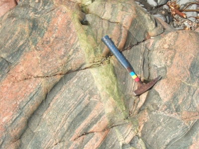 Lewisian Gneiss in Iona, with epidote veining (the green stuff)