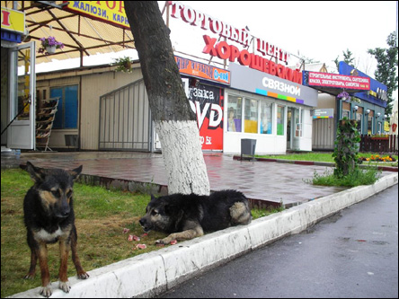 Фото Олега Таткова