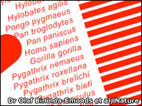 شجره پستانداران