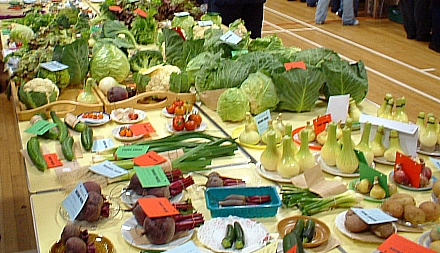 The Industrial Section, Sanday Show 2007.